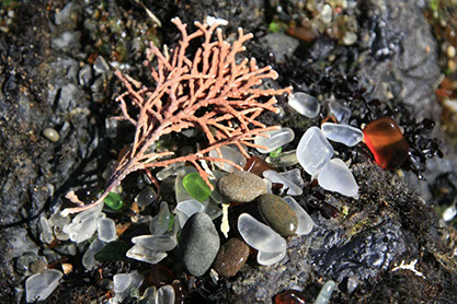 Photo from the famous Glass Beach in Fort Bragg, CA.