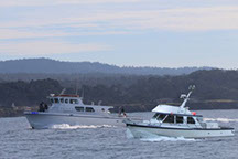 Take a fishing trip on a charter boat.